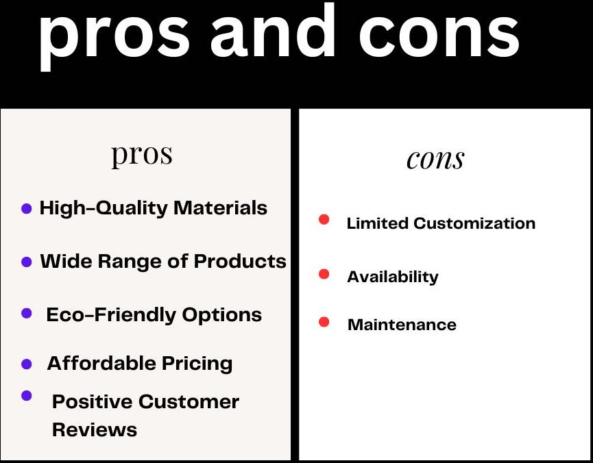 pros and cons ZonliHome Review